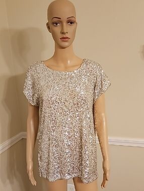 Cable & Gauge Sequin Short Sleeve Top in Silver